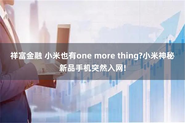 祥富金融 小米也有one more thing?小米神秘新品手机突然入网!