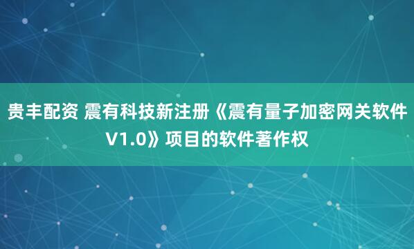 贵丰配资 震有科技新注册《震有量子加密网关软件V1.0》项目的软件著作权