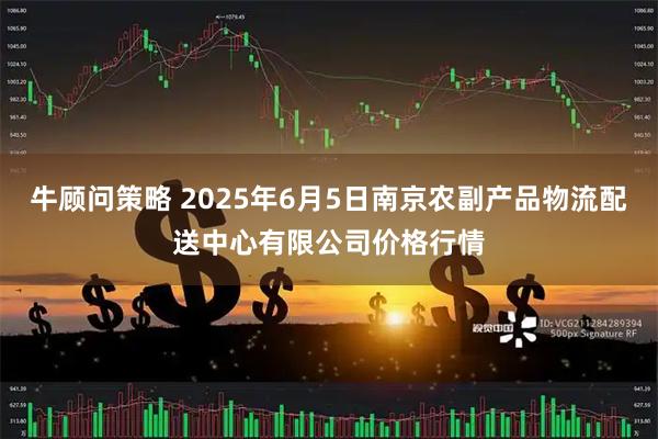 牛顾问策略 2025年6月5日南京农副产品物流配送中心有限公司价格行情