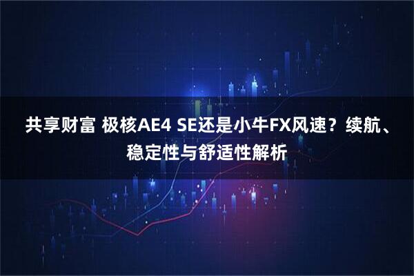 共享财富 极核AE4 SE还是小牛FX风速？续航、稳定性与舒适性解析