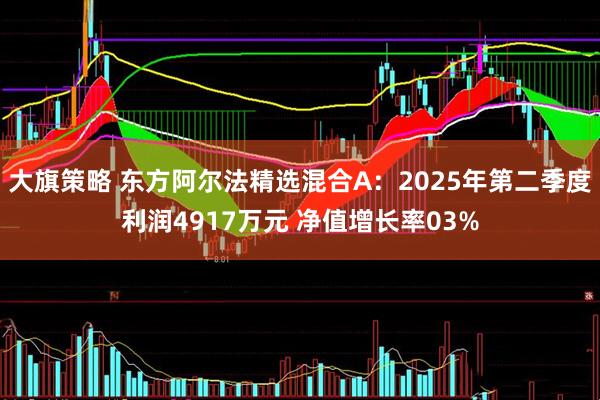大旗策略 东方阿尔法精选混合A:2025年第二季度利润4917万元 净值增长率03%