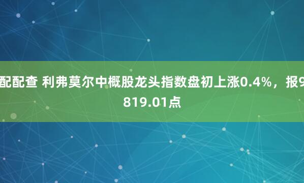 配配查 利弗莫尔中概股龙头指数盘初上涨0.4%，报9819.01点